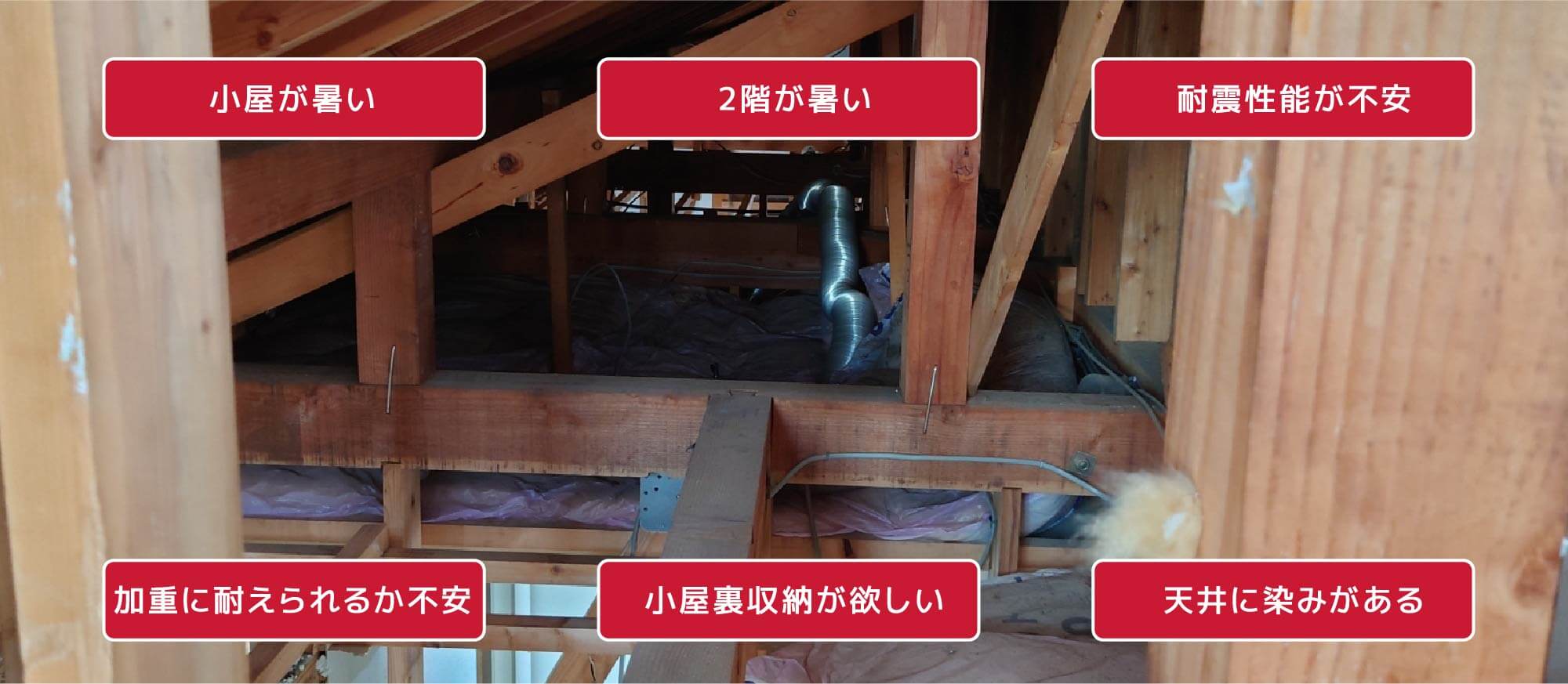 小屋裏調査